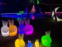 -枫花园汽车电影院(朝阳公园店)