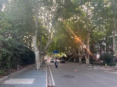 -紫金山山顶公园
