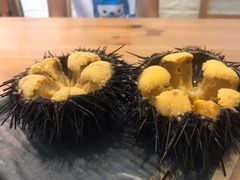 -海胆小馆(东北水饺·春柳店)