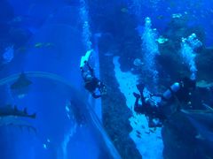 -成都浩海立方海洋公园