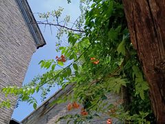 -回龙窝历史文化街区