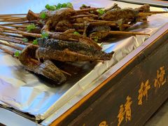 鳝鱼-晓靖轩烧烤(沙河风情店)