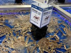 -盒马X会员店(上海森兰商都店)