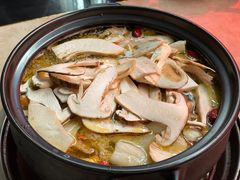 -蘑统田下·野生菌火锅