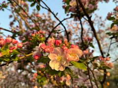 -元大都城垣遗址公园