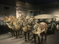 -秦始皇帝陵博物院-丽山园