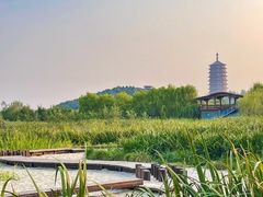 -永定河休闲森林公园