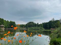 -滇池海埂公园