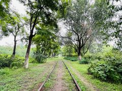 -永定河休闲森林公园