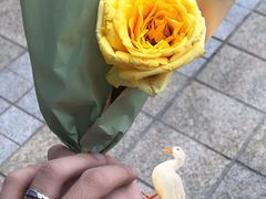 -六州府地锅鸡·农家菜·龙虾(未来科技城店)