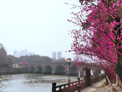 -望江楼公园