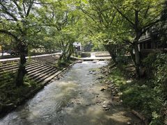 -大围山国家森林公园