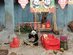 -海南热带野生动植物园