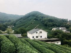 -龙井村