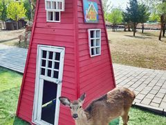 -北京鹿世界主题园