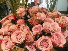 -Flower in(密渡桥店)