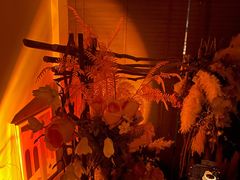 -Catail前苑(前门大街店)