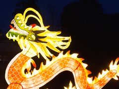 -重庆南山海昌汤都