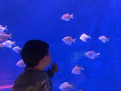 -沈阳海洋探索中心