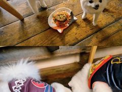 -the rug 飞毯 (朝阳公园店)