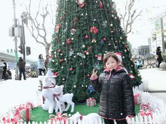 -证大大拇指广场(芳甸路店)