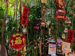 -施奈儿.洗头頭療.按摩SPA.采耳(上梅林店)