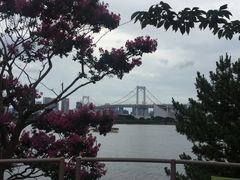 -台场海滨公园船码头