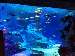 -沈阳海洋探索中心