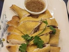 -金龙寨(龙城路店)