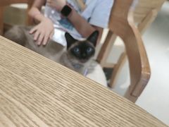 -藏猫猫咖啡主题馆(中央大道店)