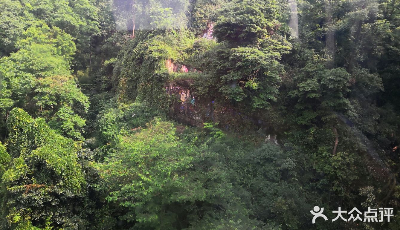 成都市都江堰市青城山景区打卡攻略