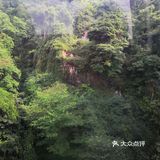 成都市都江堰市青城山景区打卡攻略