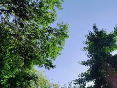 -九眼桥码头旧址
