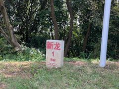 -黄埔油麻山森林公园