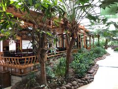 -陶然居·重庆菜(生态园店)