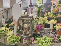 -龙景轩(宝杨路旗舰店)