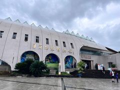 -自贡恐龙博物馆