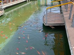 -石家庄市植物园