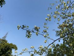-悦哉·派对·草坪婚礼·围炉煮茶(三圣乡店)