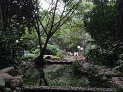 -成都市活水公园
