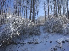 -太子岭滑雪场