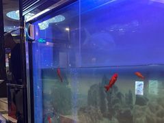 -德全心悦酒店(北京金台路地铁站店)