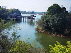 -水濂山森林公园