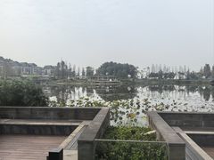 -铁山坪森林公园