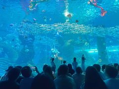 -波塞冬旅游度假区