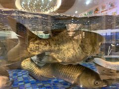 -顺德人家食府(黄金广场店)