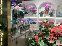 -豆豆花艺(新光天地店)