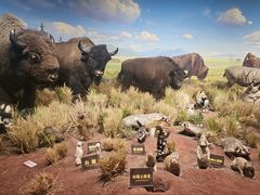 -陕西自然博物馆