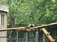 -成都动物园