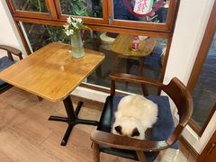 -有猫主题·治愈系猫咖(曾厝垵店)